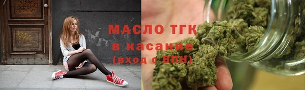 гидра Горно-Алтайск