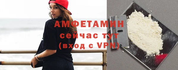 гидра Горно-Алтайск