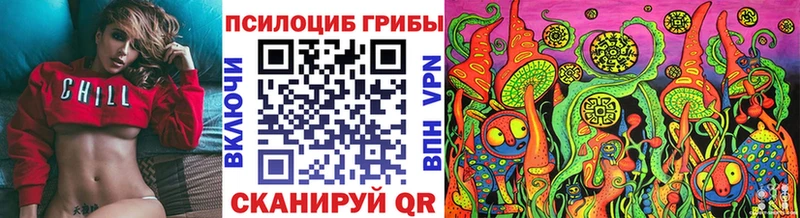 Галлюциногенные грибы Psilocybine cubensis  Купить  Покров 